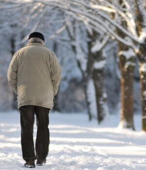 Back Of Older Male Adult Walking In Snowcovered Woods 